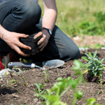 New sustainability funding empowers faculty to create farm-based learning experiences for students