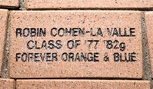 Robin Cohen-LaValle's brick