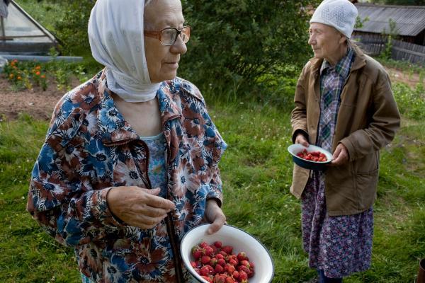 Nadia Sablin, The Last Strawberries, 2009, archival Digital Print, courtesy the artist