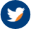 Twitter - NP Home Icon