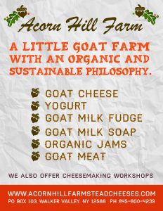 Accorn-Hill-Ad-for-MLWS-qtr-page