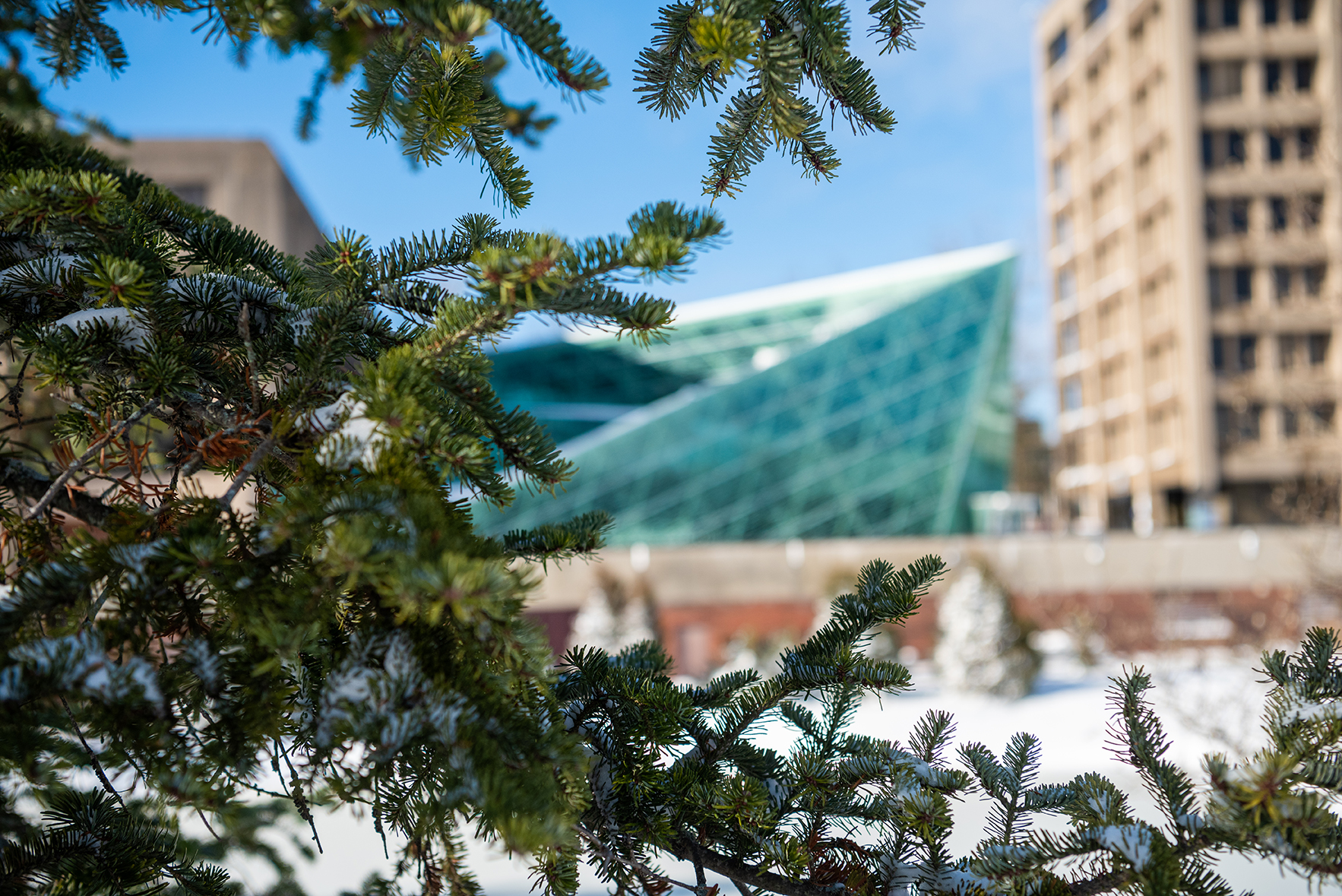 Snow atrium 