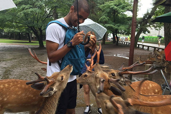 Jeremy Luna feeds deer in Japan
