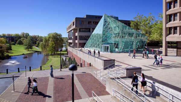 Atrium in the Summer