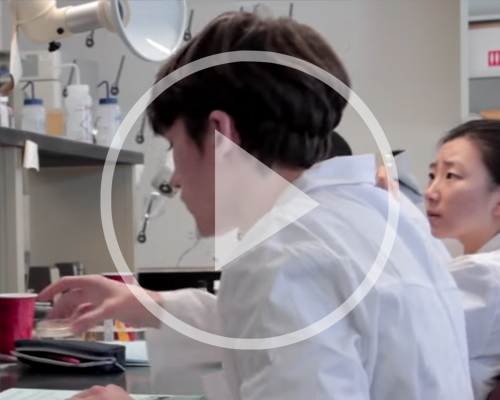 School of Science & Engineering - students in the science lab