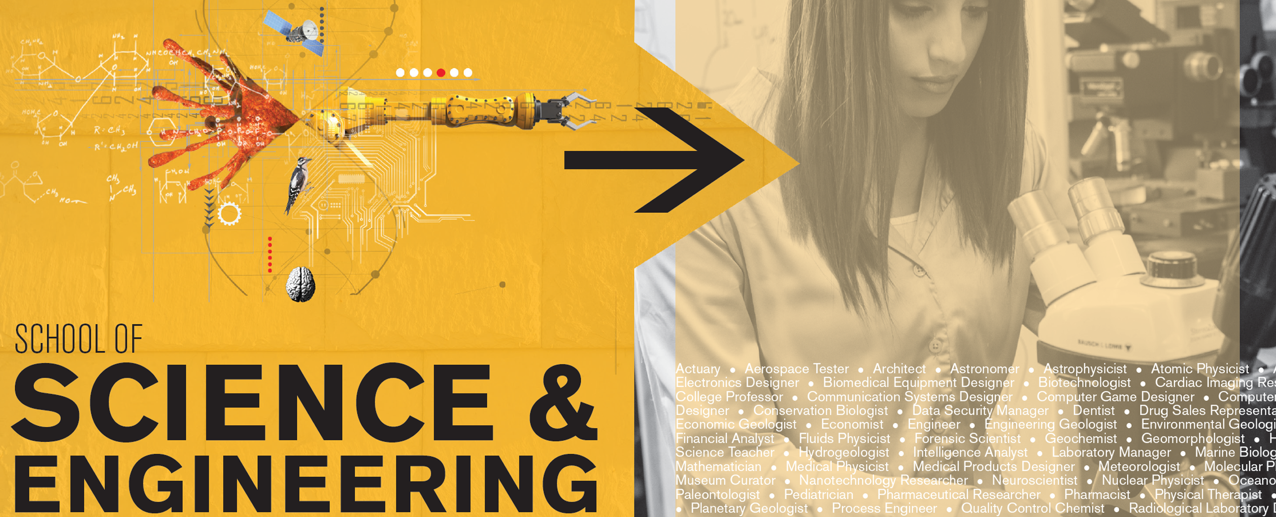 School of Science & Engineering Viewbook