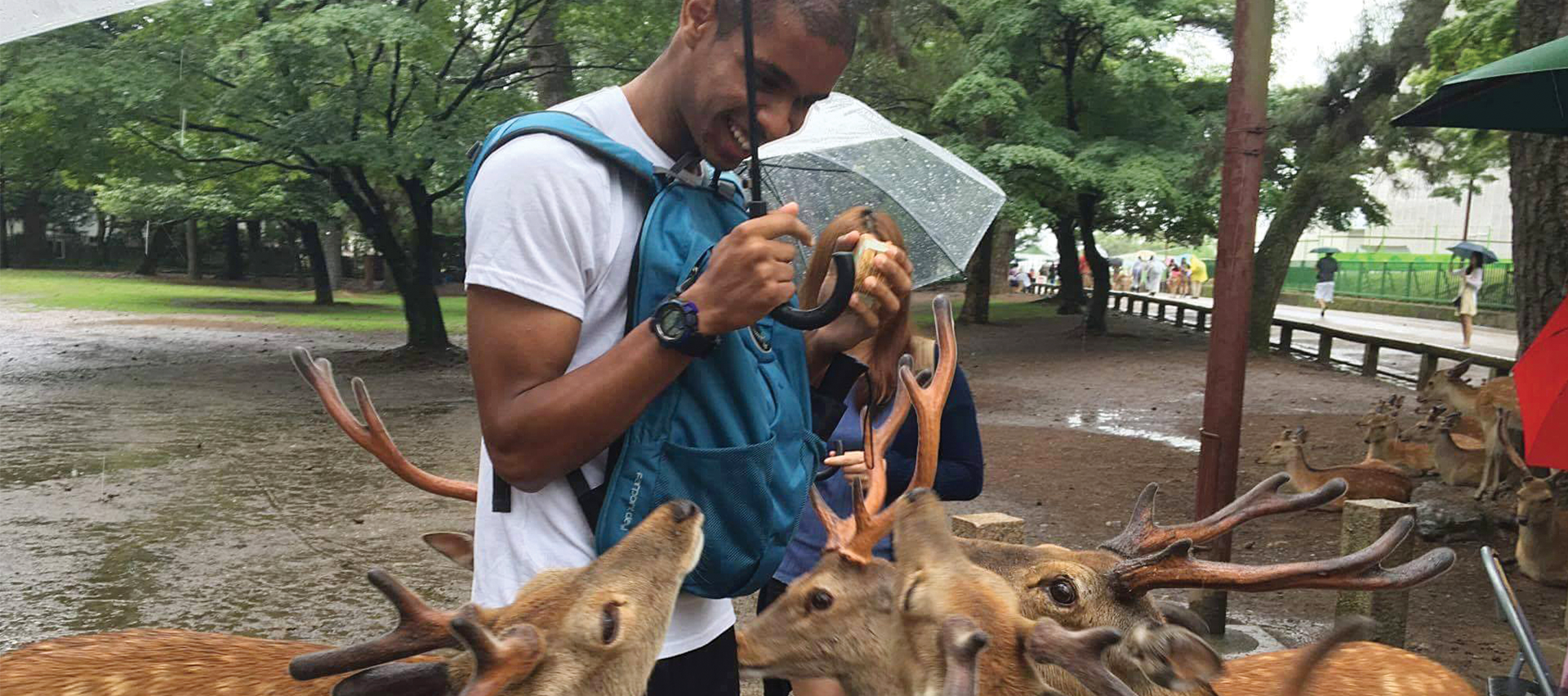 Jeremy Luna ’20 (International Relations; Asian Studies) feeds deer in Japan.