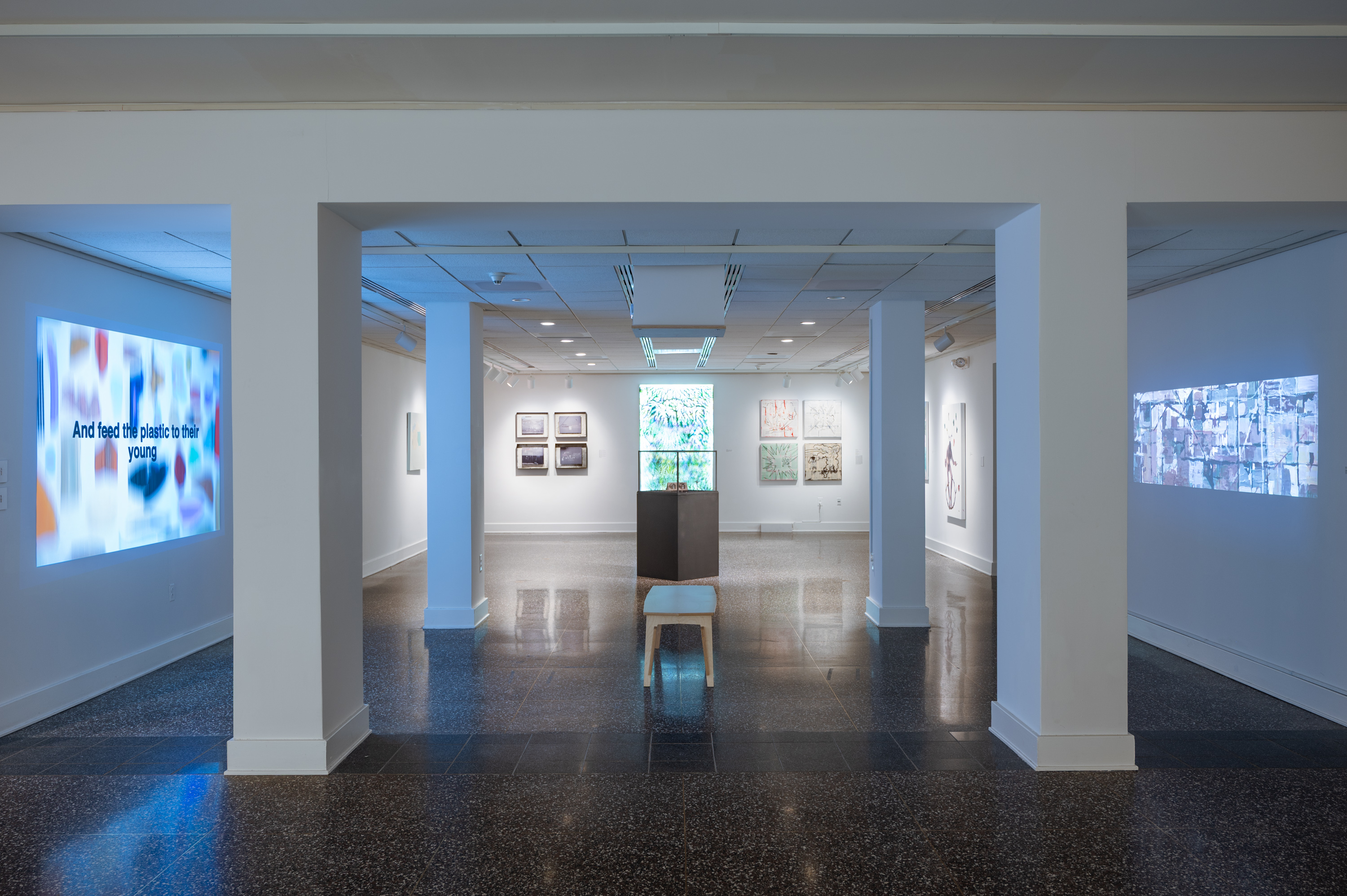 View across a video projection filled room with multimedia artworks by multiple artists in Hudson Valley Artists: 2025.