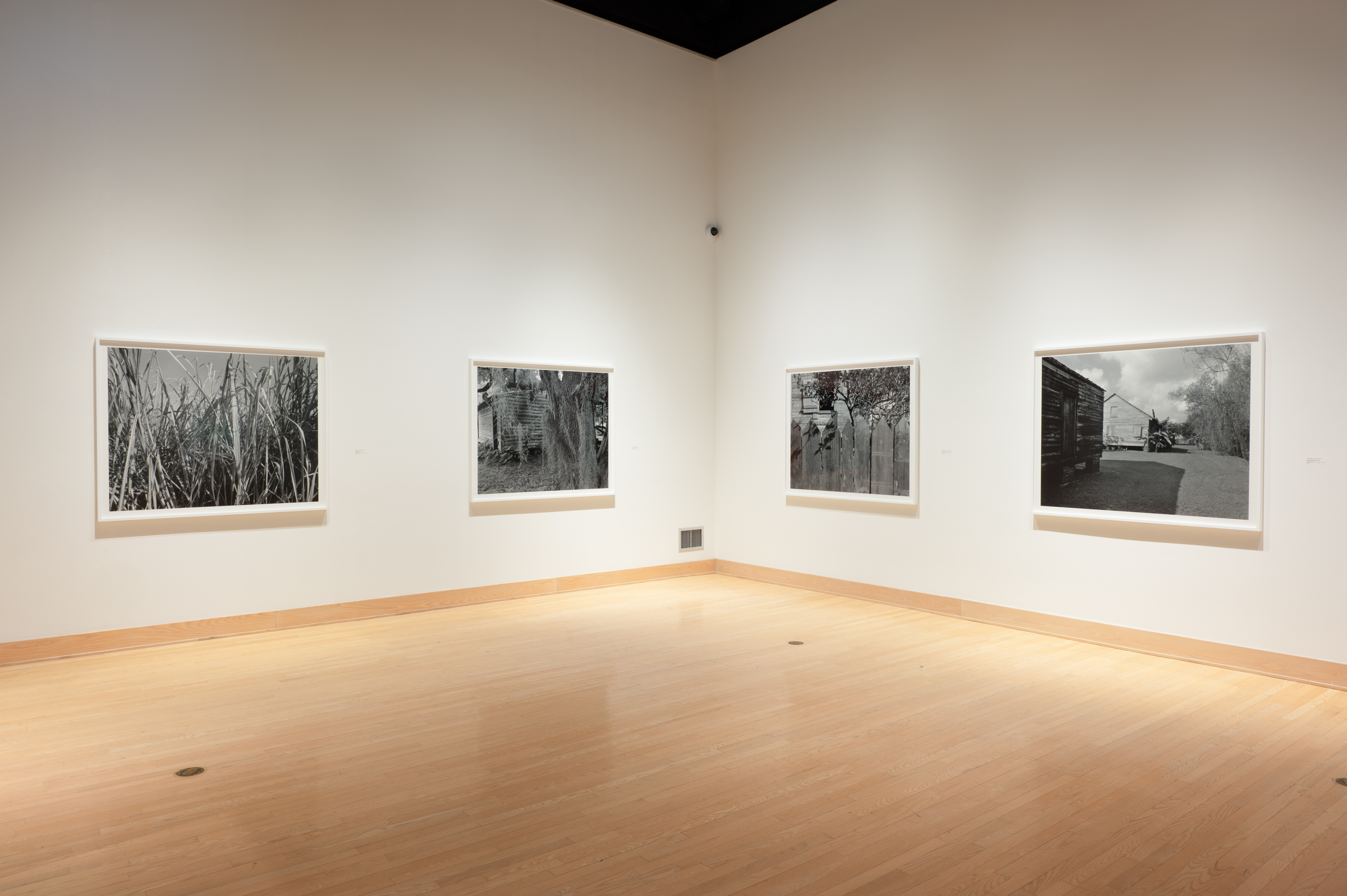 Installation view of Landmines at the Dorsky Museum, featuring works addressing the intersection of landscapes, colonialism, and indigenous displacement, resonating with the Hudson Valley’s past.