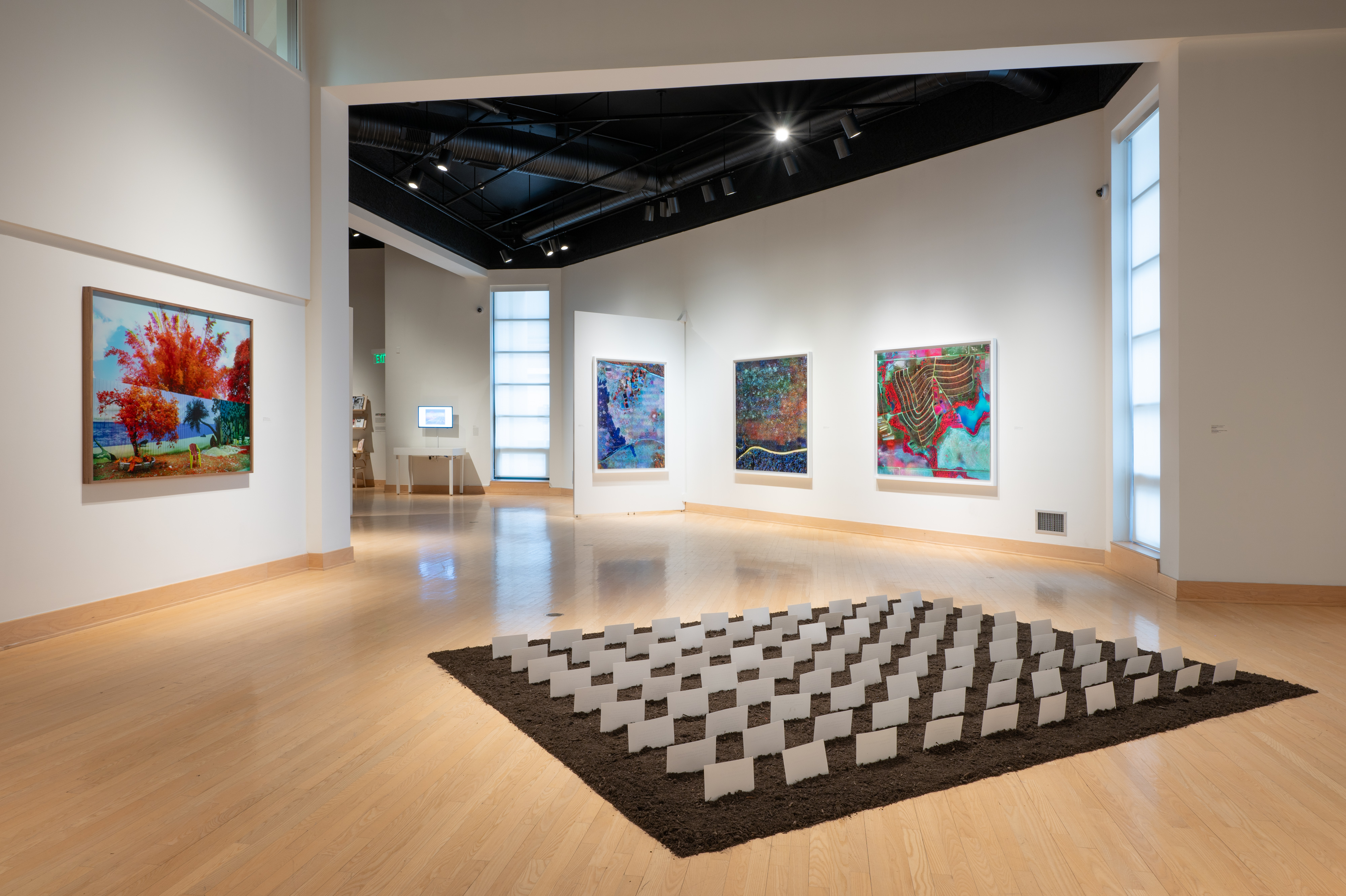 Overview of Landmines at the Dorsky Museum in New Paltz, where contemporary artworks engage with the Hudson Valley’s landscape and the region's colonial and environmental histories.