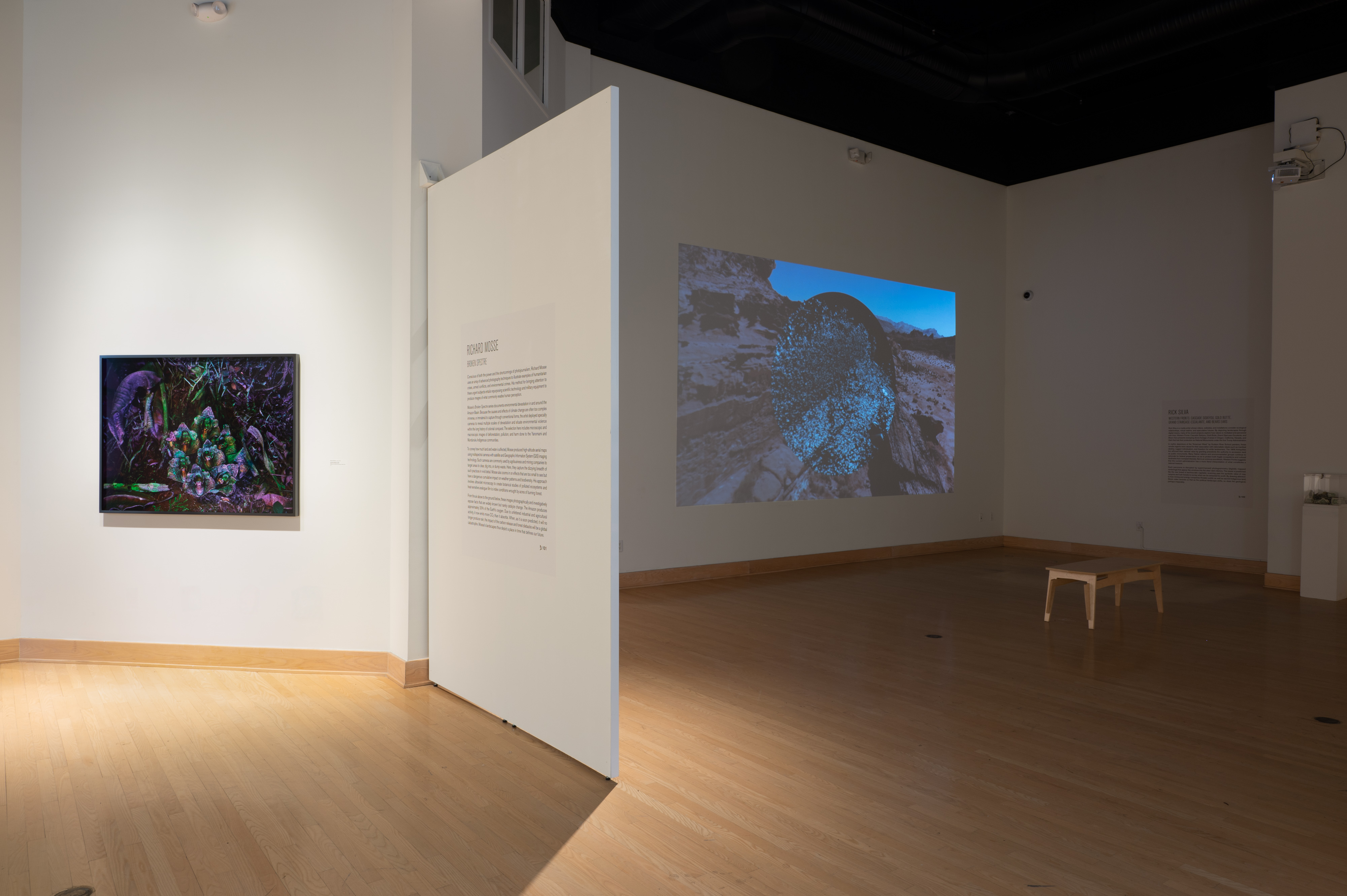 Installation shot from Landmines at the Dorsky Museum, reflecting on the impact of environmental and historical exploitation in landscapes, connected to the Hudson Valley’s colonial past.