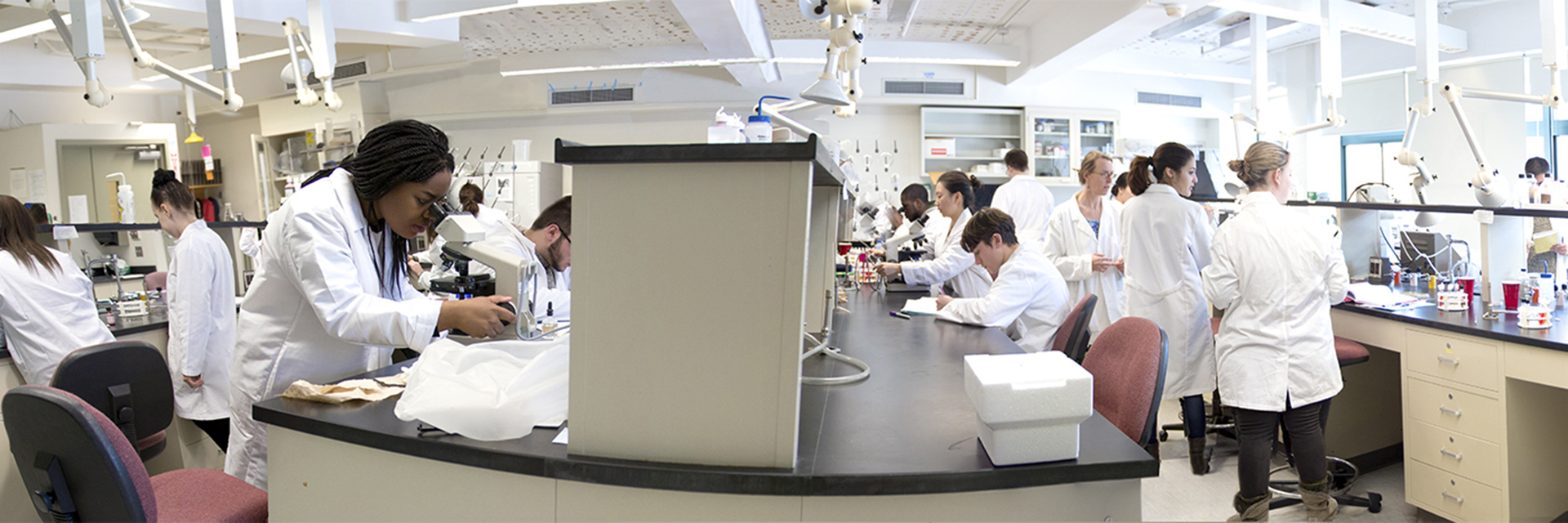 Students working in a science lab