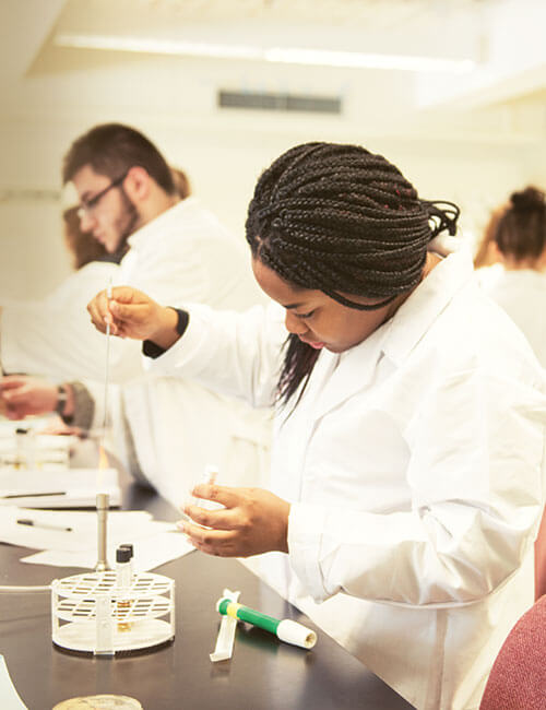 Homepage - School of Science and Engineering